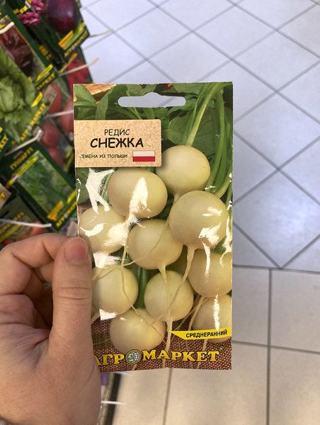 редис Снежка